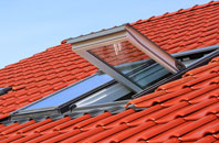 Routh roof window
