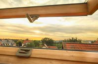 rated Routh roof window companies